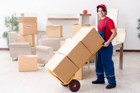 Image pour la location de Service de démenagement Paris